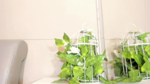 luna_bradley_ online show from 04/22/26, 12:28