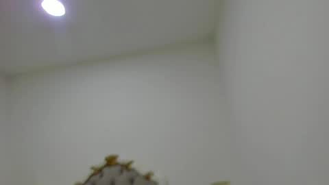 luna forever7 online show from 04/14/26, 12:22