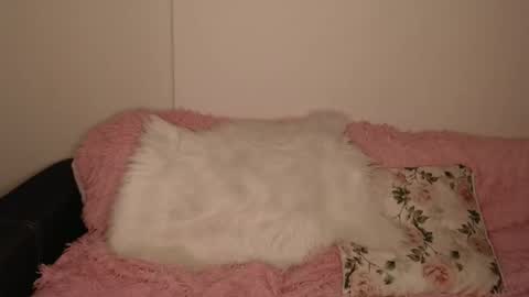 Snapshot of luna_moon77 chatting on 02/13/26, 06:15 Luna online show from 02/13/26, 06:15