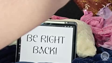 Lunar Fae Stellaris online show from 02/13/26, 02:46