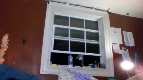 lunasecretadmirer online show from 03/01/26, 05:31