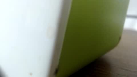 luna online show from 10/05/25, 02:10