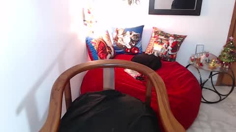 kata online show from 12/29/24, 08:11