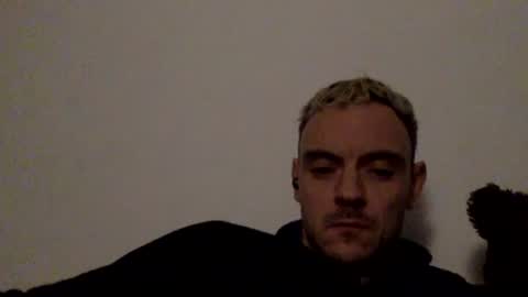 Lupine online show from 11/19/25, 12:54