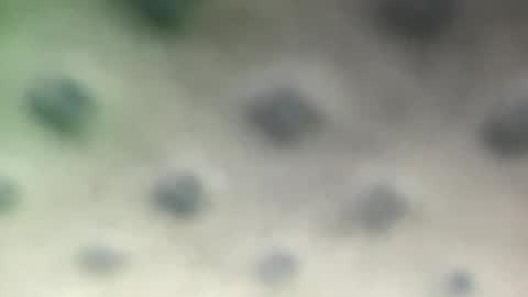 luquita094 online show from 11/07/25, 11:54