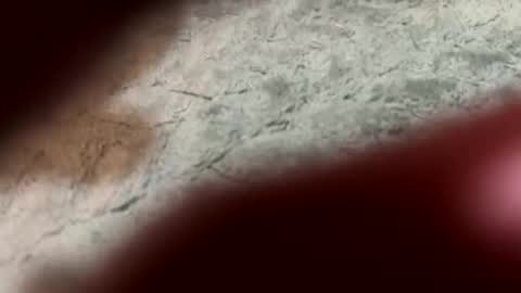 lust_4_daze online show from 02/13/26, 07:21