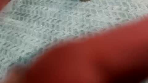 lust_4_daze online show from 02/20/26, 12:49