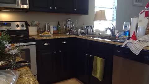 lustersp1ce online show from 12/06/24, 06:06