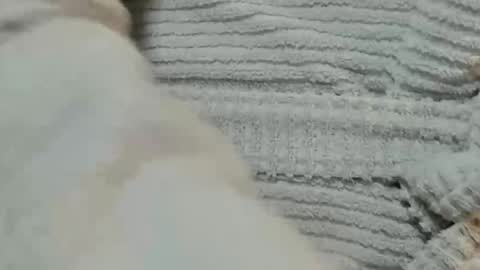 lustgardener67 online show from 12/09/24, 06:03