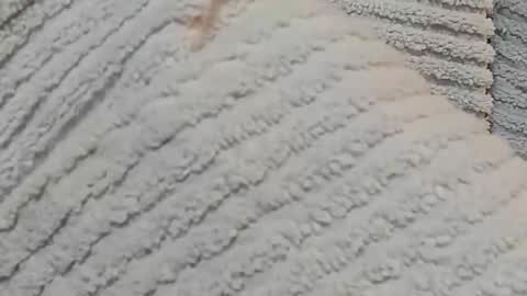 Snapshot of lustgardener67 chatting on 12/15/24, 07:24 lustgardener67 online show from 12/15/24, 07:24