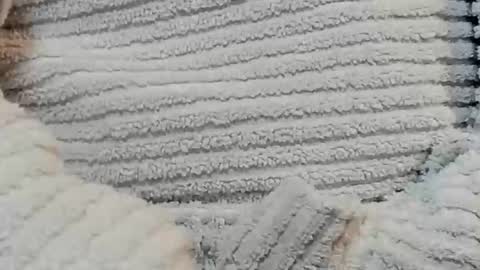 Snapshot of lustgardener67 chatting on 12/15/24, 04:48 lustgardener67 online show from 12/15/24, 04:48