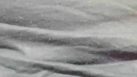 lustgardener67 online show from 01/09/25, 11:24