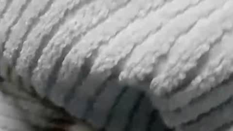 lustgardener67 online show from 01/19/25, 07:15