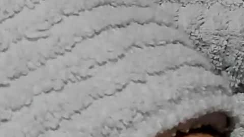 Snapshot of lustgardener67 chatting on 02/03/25, 07:21 lustgardener67 online show from 02/03/25, 07:21