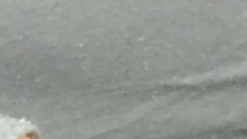 Snapshot of lustgardener67 chatting on 02/04/25, 09:28 lustgardener67 online show from 02/04/25, 09:28