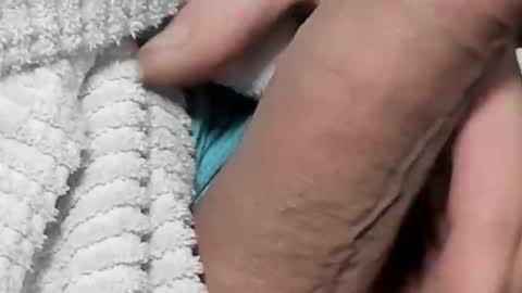 Snapshot of lustgardener67 chatting on 02/04/25, 05:45 lustgardener67 online show from 02/04/25, 05:45