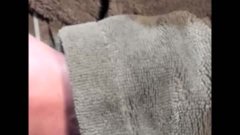 Snapshot of lustgardener67 chatting on 03/04/25, 07:19 lustgardener67 online show from 03/04/25, 07:19