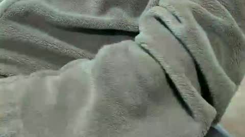 Snapshot of lustgardener67 chatting on 10/07/25, 07:11 lustgardener67 online show from 10/07/25, 07:11