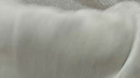 Snapshot of lustgardener67 chatting on 11/08/25, 02:28 lustgardener67 online show from 11/08/25, 02:28