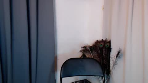 lustyseraphina online show from 02/20/26, 06:52