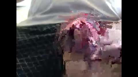 Snapshot of lutorres chatting on 09/19/25, 11:55 lutorres online show from 09/19/25, 11:55