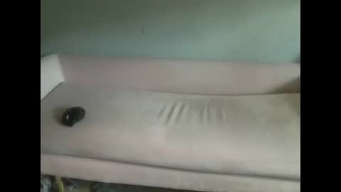 Snapshot of luvmesluts chatting on 10/06/25, 07:33 luvmesluts online show from 10/06/25, 07:33