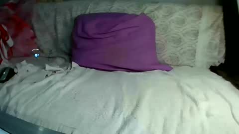 Bee Bee online show from 03/10/25, 06:38