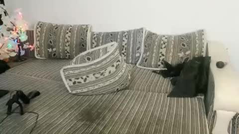 LuxMelys online show from 12/25/24, 05:48