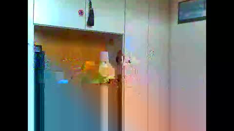 luxx72boy online show from 01/11/25, 09:47