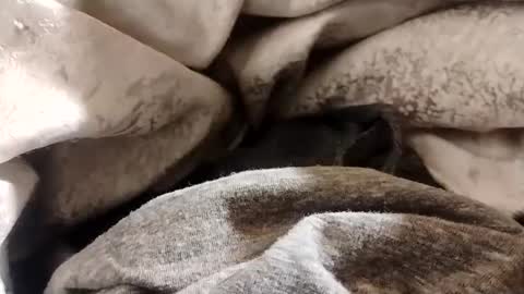 Lvac11 online show from 01/22/25, 12:38