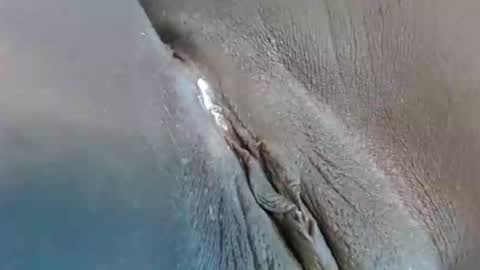 Snapshot of lyiajee chatting on 09/23/25, 02:53 lyiajee online show from 09/23/25, 02:53