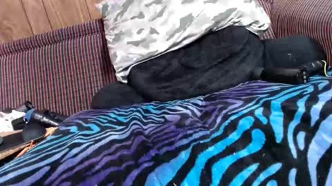 Snapshot of lyke2fuck chatting on 02/06/25, 11:32 Lyke2fuck online show from 02/06/25, 11:32