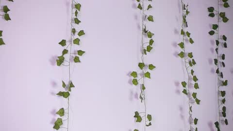 Lyly   online show from 09/27/25, 08:19