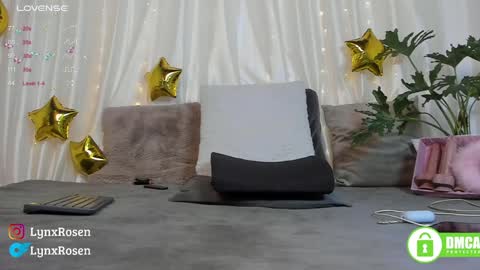 Snapshot of lynxrosen chatting on 01/17/25, 09:06 Lynx Rosen online show from 01/17/25, 09:06