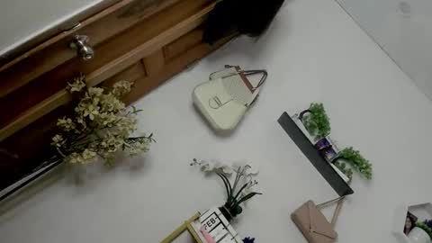 Janelovesu online show from 02/13/26, 12:50