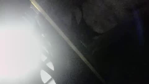 SLoppYxXPeeHoLeXxGspotxX online show from 04/03/26, 03:48