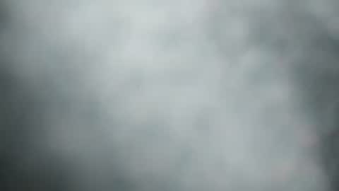 m7491201 online show from 12/31/24, 02:14