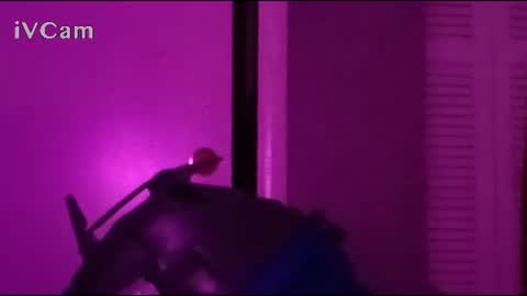 m7491201 online show from 10/01/25, 09:48