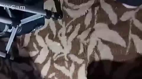 m7491201 online show from 10/23/25, 02:38