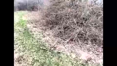 ma747047 online show from 04/06/26, 11:22