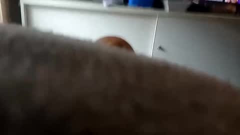 Snapshot of mace141414 chatting on 09/26/25, 09:41 MACE online show from 09/26/25, 09:41