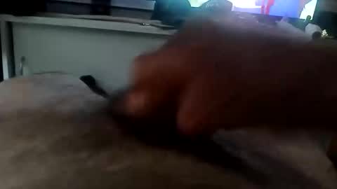 Snapshot of mace141414 chatting on 12/16/25, 07:30 MACE online show from 12/16/25, 07:30