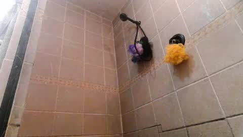 Snapshot of mace_shwanger chatting on 07/01/26, 07:57 Mace Shwanger online show from 07/01/26, 07:57
