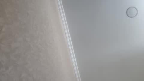 Tchia online show from 02/23/26, 09:39