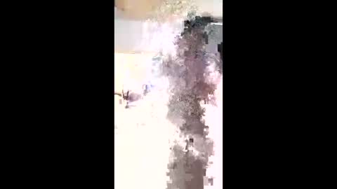 maciasbraulio846 online show from 02/03/26, 06:00