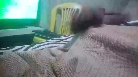 mad415264 online show from 11/24/25, 03:50