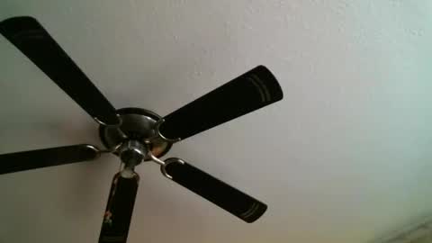 Snapshot of mad_dem0n chatting on 01/05/25, 12:31 Manuel online show from 01/05/25, 12:31