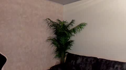 Snapshot of maddox_santana chatting on 12/03/24, 12:57 Maddox Santana online show from 12/03/24, 12:57