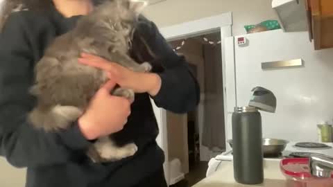 maddyhasyummypussy online show from 12/15/25, 12:48