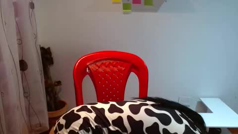 Madison Cambel online show from 01/27/25, 10:38